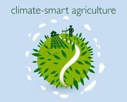 Sustainable Agriculture & Climate Smart Farming